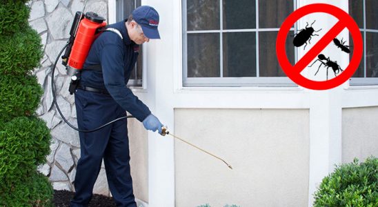Gökçebey Gümüşkurt İlaçlama böcek ilaçlama ve haşere kontrolü — ilaclama-tr.com